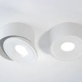 Roof deltalight